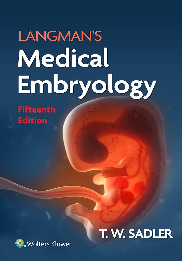 Langman’s Medical Embryology(sadler)