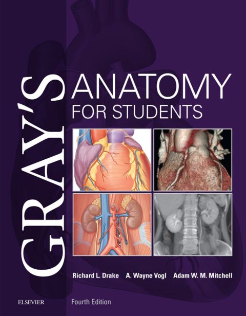 Gray’s Anatomy 